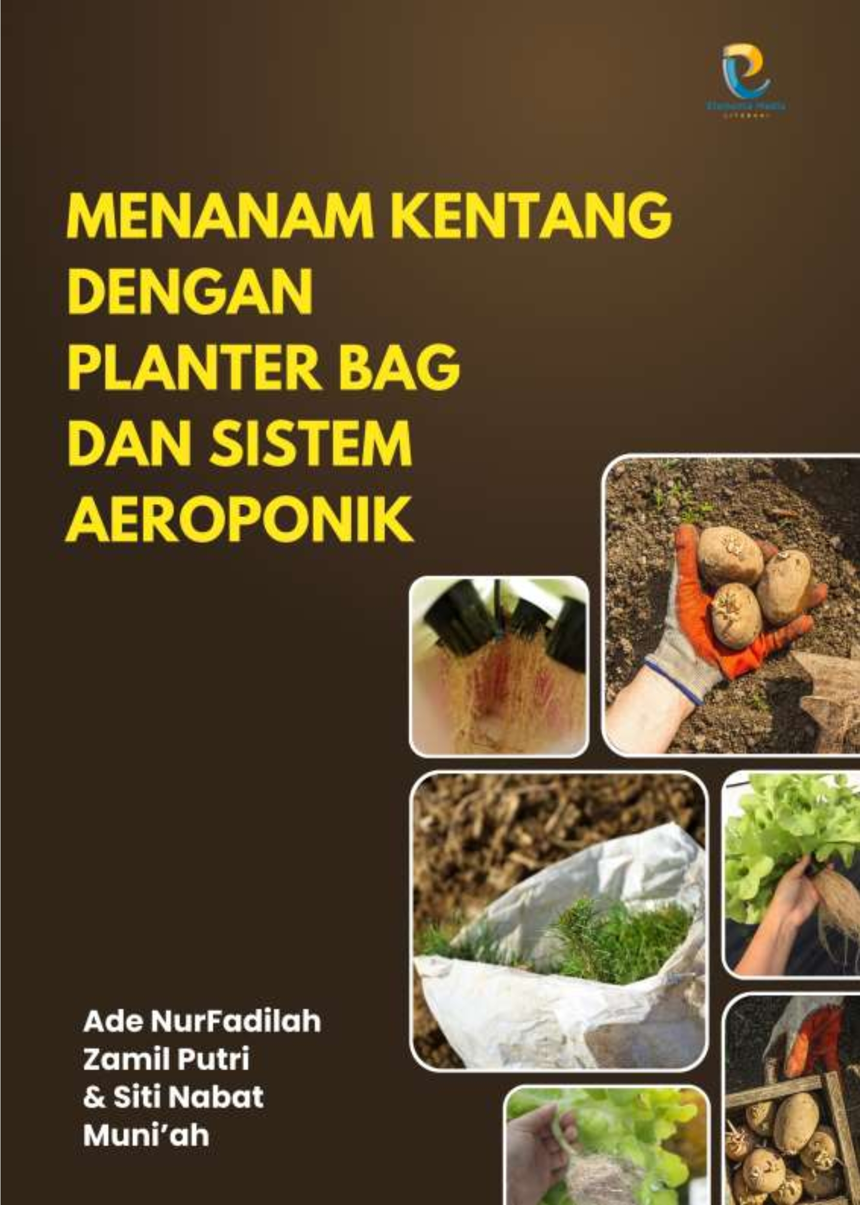 Menanam Kentang dengan Planter Bag dan Sistem Aeroponik